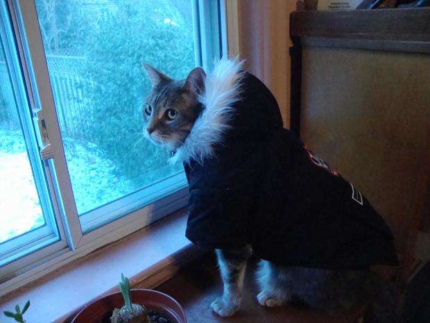 It's Cold Out There. Suit Up!