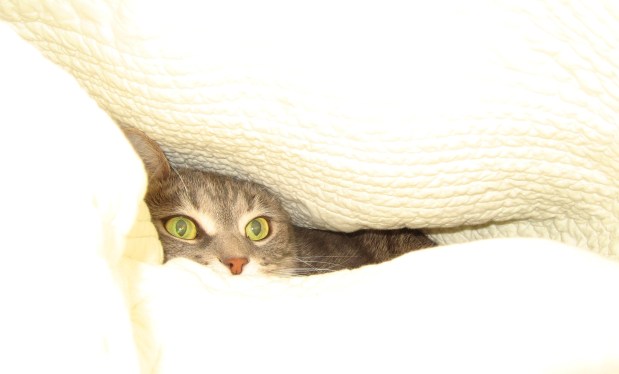 Psssst.  Pass it on...