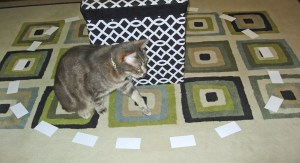 excitement is palpable