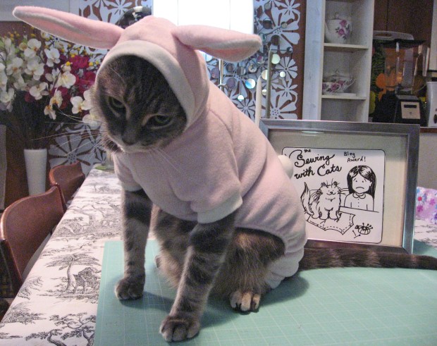 Kitty Accepting His Award Wardrobe Change 3