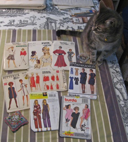 Kitty Chooses a Pattern 