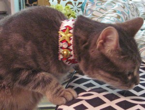 Kitty's Bowie Chevron Choker