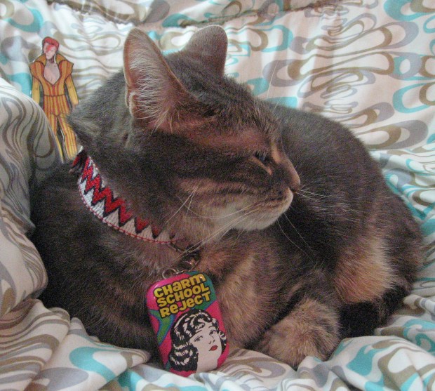 Proud To Be The Charm School Reject