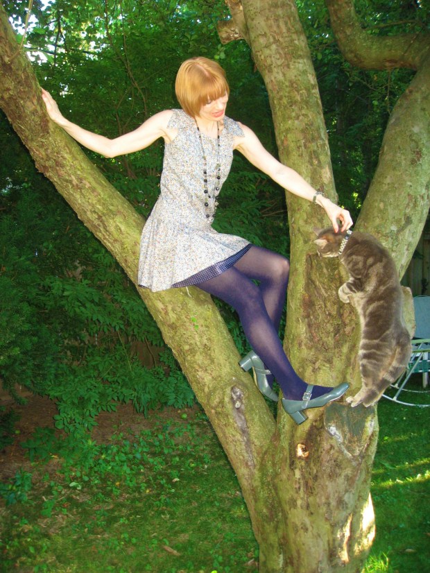 Cat Bombed UP A TREE!! Who Else Can Say That?