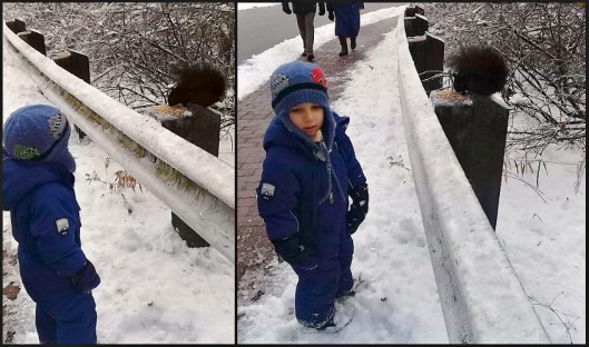 Nice Boy and Squirrel