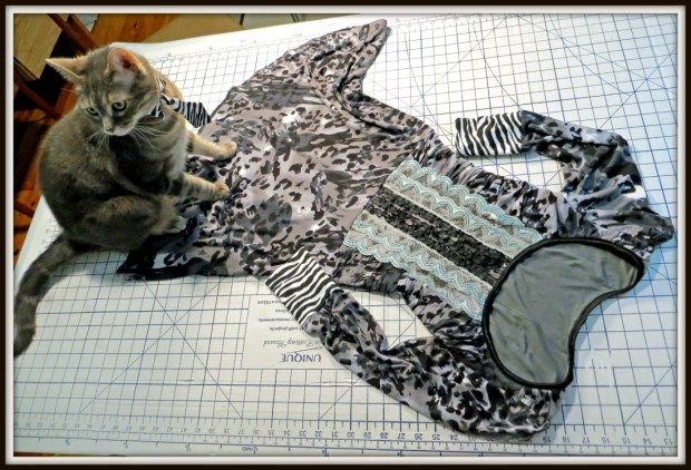 Kitty Collar and Tie and Gunmetal Dress