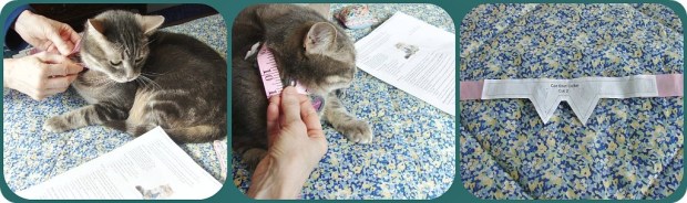 Measure Kitty Neck Adjust Pattern