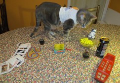 Ready! Snacks, games, Guinness. No, that is not a giant cell phone from the 70s, that is Merlin!  Remember Merlin?