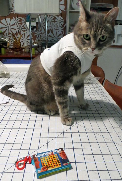 Let the Connecting of Fours Begin!!