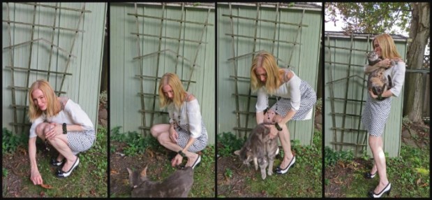 Here Kitty, Kitty, Kitty. 