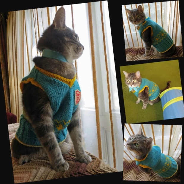 Cat Argyle Sweater Collage